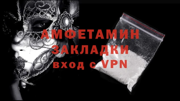шишки Белокуриха