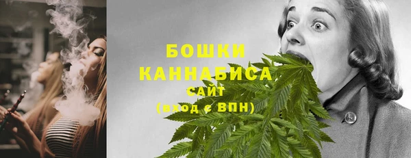 прущие грибы Белоозёрский
