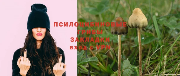 MESCALINE Нефтекумск