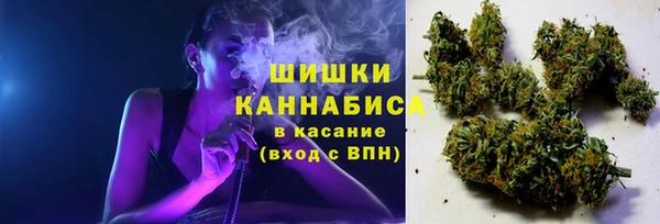 шишки Белокуриха