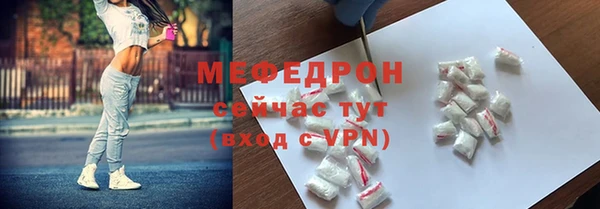 шишки Белокуриха