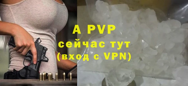 шишки Белокуриха