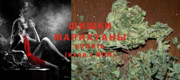 шишки Белокуриха