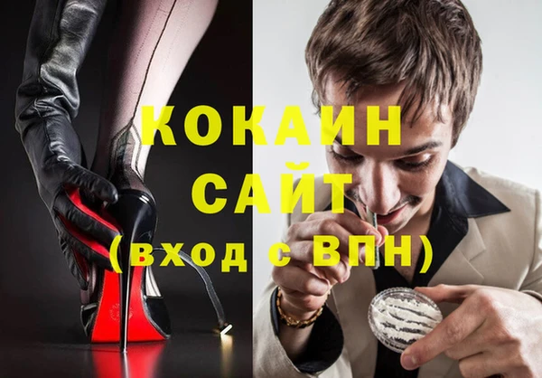 шишки Белокуриха