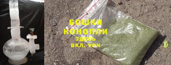 шишки Белокуриха