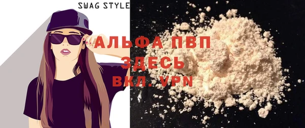 прущие грибы Белоозёрский