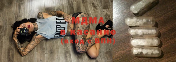 шишки Белокуриха