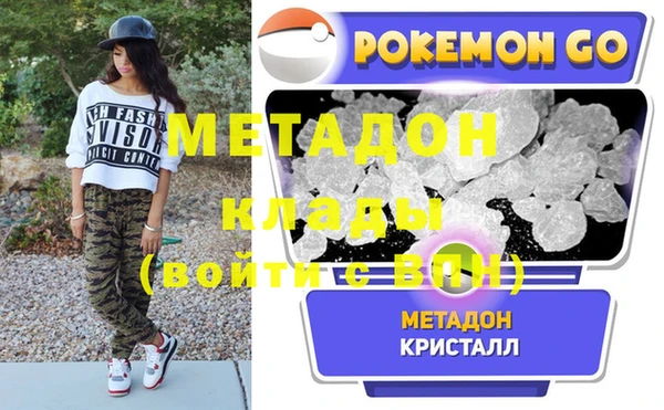 шишки Белокуриха