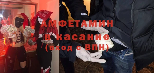 шишки Белокуриха