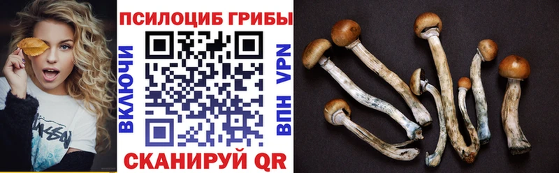 Псилоцибиновые грибы MAGIC MUSHROOMS  KRAKEN маркетплейс  Острогожск 